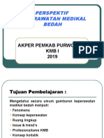 1 Perspektif KMB