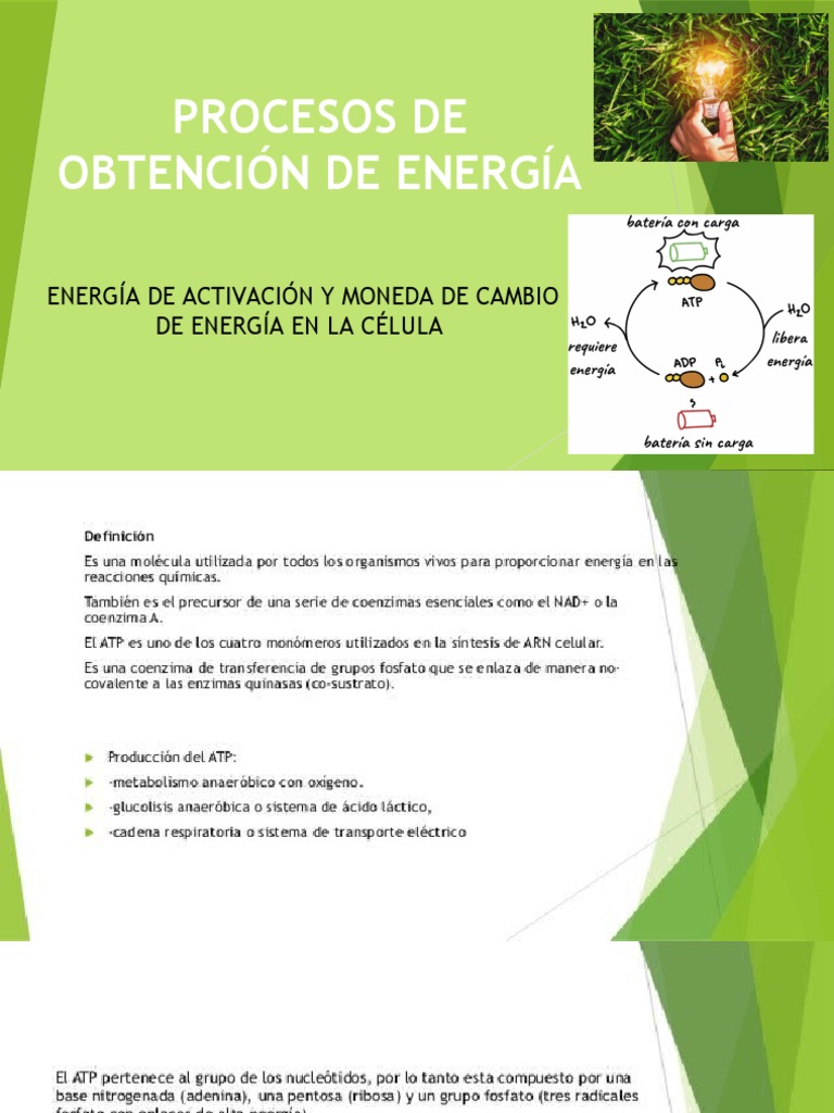 Procesos de Obtención de Energía. PDF Energía de activación Reacciones químicas