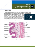 Bab 9 Sistem Pencernaan II (Esofagus Dan Lambung)