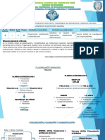 2° Sesión E801 CP LLC