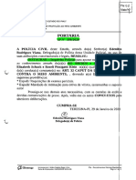 2.Portaria DPMA designando atuação dos agentes 29-01-2020  PÁG 02 do IP N°328.pdf