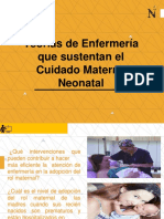 SEMANA 4 - Teorias de Enfermeria Que Sustenta El Cuidado Neonatal PDF