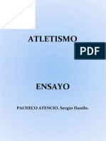Ensayo (Pacheco Atencio, Sergio Danilo)