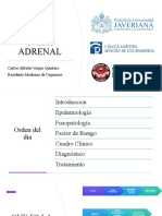 Crisis Adrenal