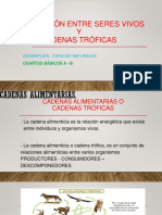 cadenas troficas.pdf