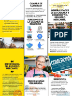 Folleto Actividad 3 Legislacion Comercial