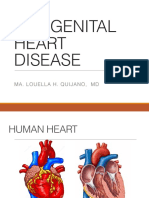 Congenital Heart Disease Explained