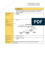 Glucogenesis