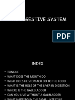 Digestive System