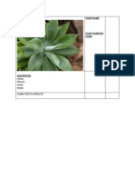 Picture of Your Plant