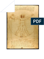 Omul Vitruvian