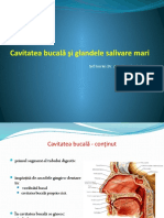 Curs 5 - Cavitate Bucala + GL Salivare