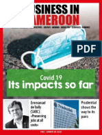 Cameroon: Its Impacts So Far