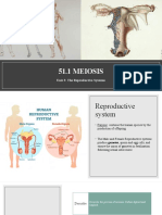 51.1 MEIOSIS: Unit 3: The Reproductive Systems