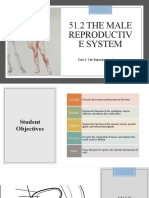51.2 The Male Reproductiv E System: Unit 3: The Reproductive Systems