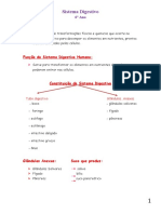 SISTEMA DIGESTIVO HUMANO