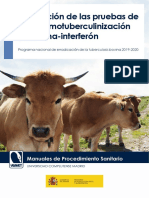 Manual Procedimiento IDTB IFN 2019