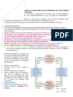 Problema Económico