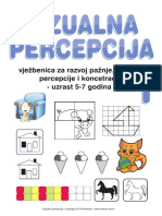 Z - Vizualna Percepcija PDF