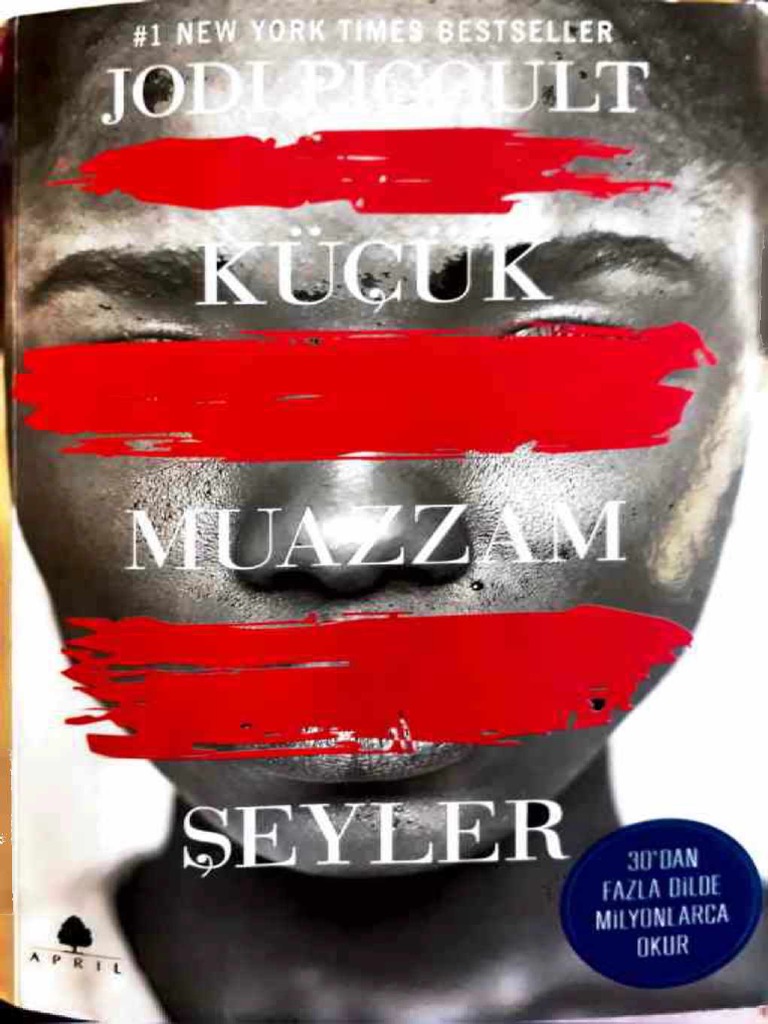 kucuk muazzam seyler jodi picoult