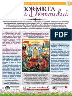 CC20 - Icoana Adormirea Maicii Domnului PDF