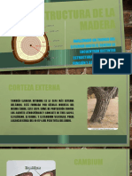 Estructura de La Madera