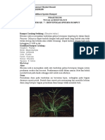Format Dan Ketentuan Tugas 7 Identifikasi Rumput