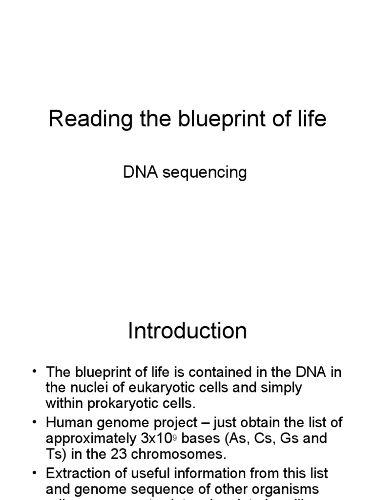DNA Sequencing and Bioinformatics Overview | PDF | Open Reading Frame ...