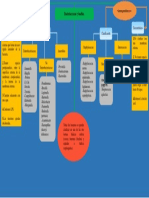 Mapa Conceptual Con Las Bacterias Cocos y Bacilos Gram Positivos (+) y Gram Negativos (-) .