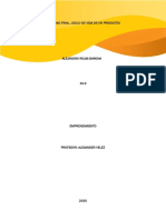 Actividad Final PDF