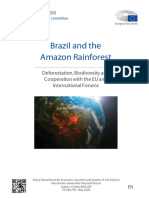 Brazil and The Amazon Rainforest: Deforestation, Biodiversity and Cooperation With The EU and International Forums