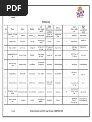 Synopsis - Rumble in the Jungle