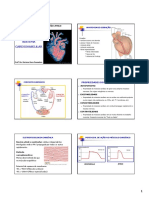 Anatomia do coração: estrutura e funcionamento