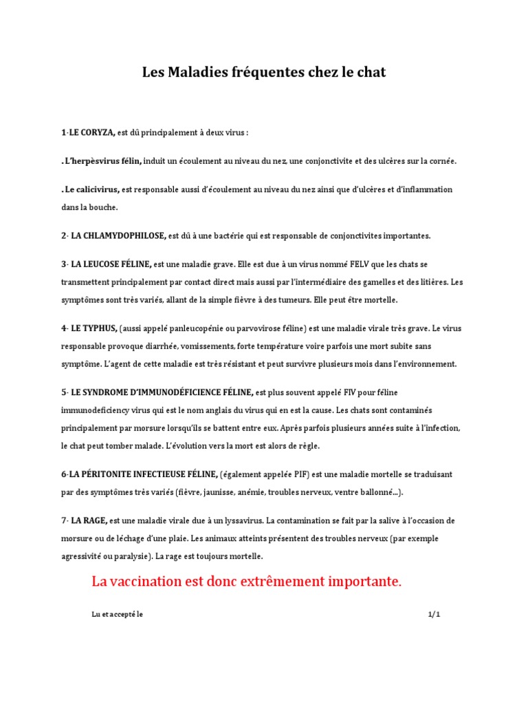 Les Maladies Frequentes Chez Le Chat La Vaccination Est Donc Extremement Importante Pdf