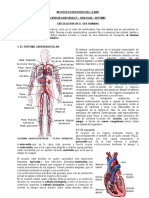 Guia Circulacion Humana Naturales