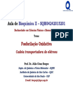 Aula06 BioqII-CFBio FosforilaçãoOxidativa CTE-11 PDF