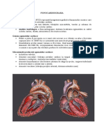 2 FonoCardiograma