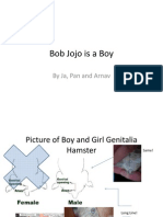 Bob Jojo Is A Boy