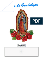 Virgen Guadalupe