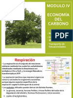 Clase 4 - Respiracion - Transporte X Floema