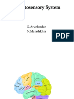 Somatosensory System: G.Arvelandze N.Malashkhia