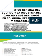 DIAGNOSTICO GENERAL DE LA COMPOSICION DE PRODUCCION,CONSUMO Y COMERCIALIZACION DEL CAUCHO EN COLOMBIA (1) (1).pptx