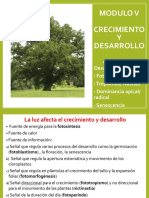 Clase 7 - Fotomorfogenesis - 21-9-20 PDF