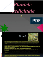 Plantele Medicinale