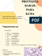 Protozoa Pada Darah Kuda