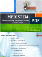Classification of Meristem PPT by Easybiologyclass