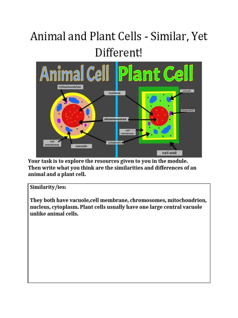 Differences Between Animal and Plant Cells | PDF