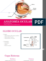 Anatomia Udh Virtual