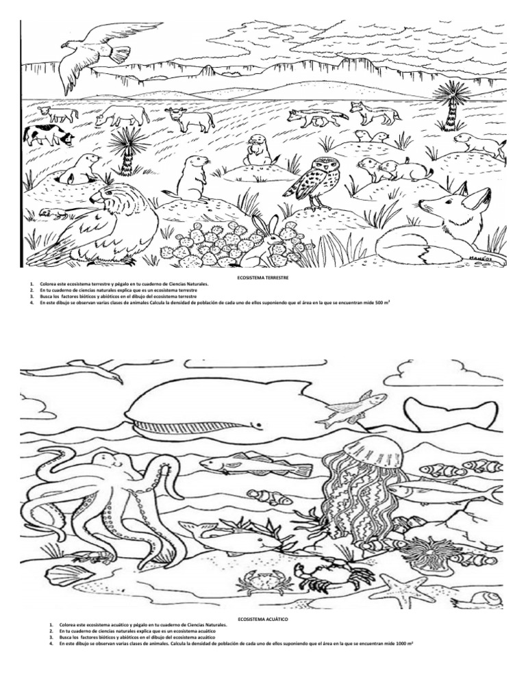 4-ecosistemas-terrestres-y-acu-ticos-pdf