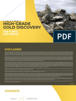 Canada'S Newest High-Grade Gold Discovery: TSX-V: NFG Otc: NFGFF